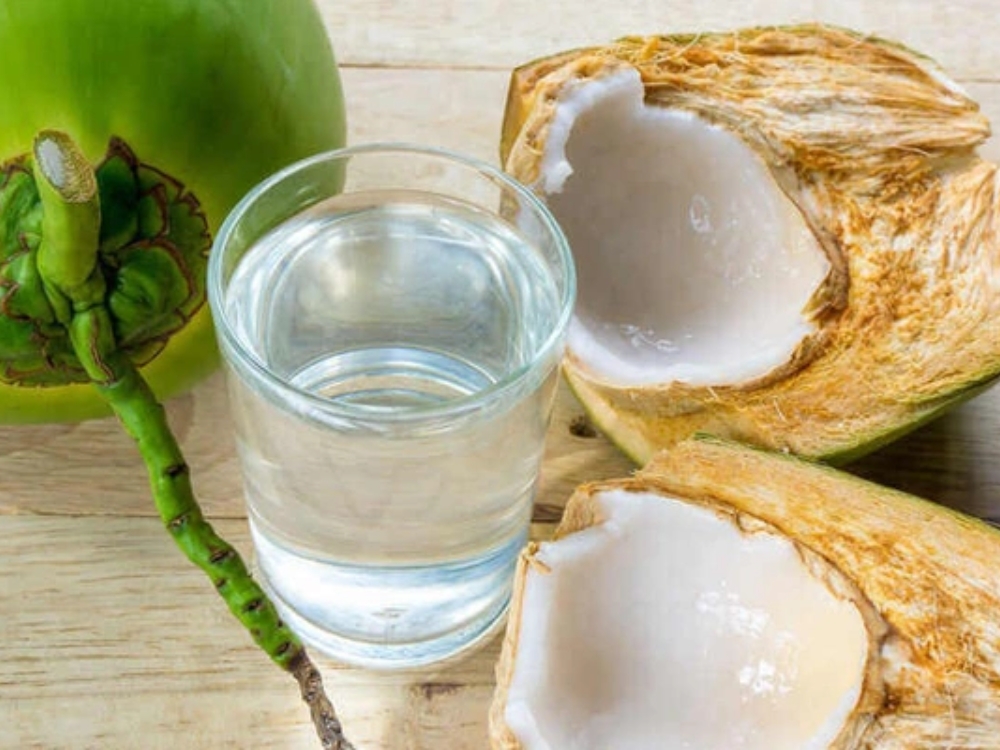 Cây dừa Bến Tre