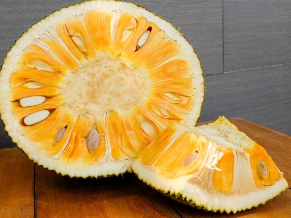 Mít nghệ Tiền Giang