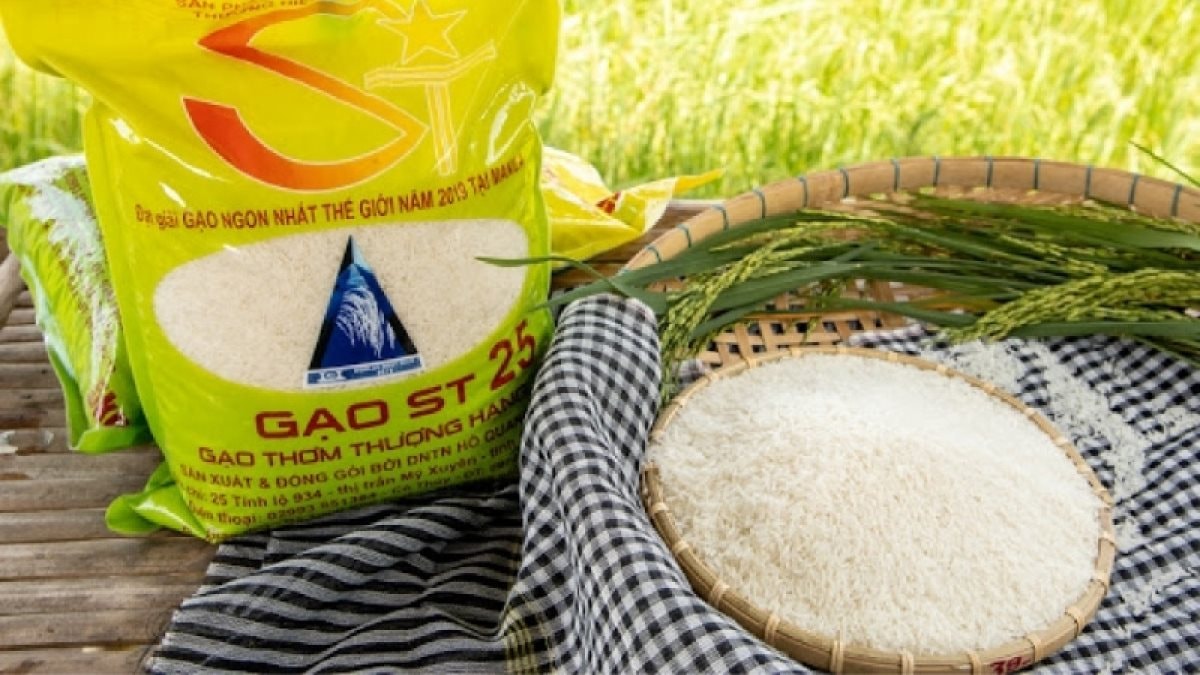 bao gạo