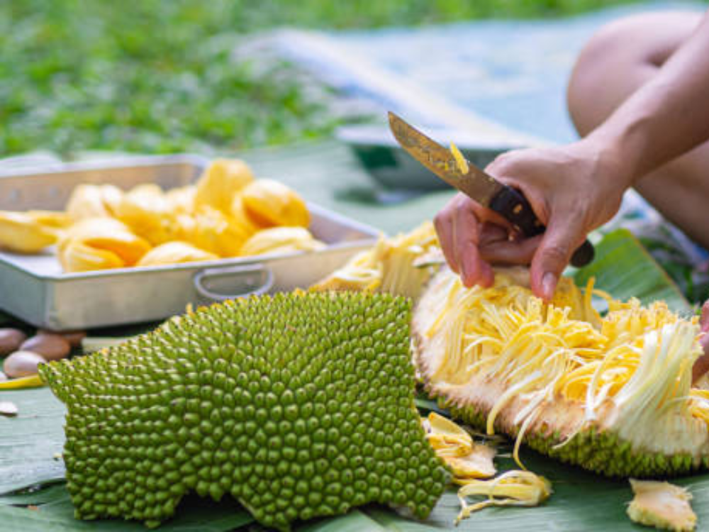 Những Món Ngon Sáng Tạo Từ Mít Tố Nữ