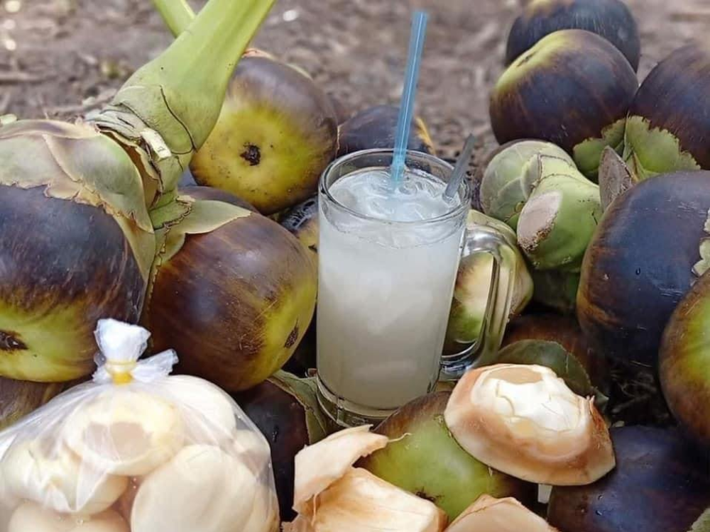 Lợi Ích Tuyệt Vời Của Thốt Nốt Đối Với Sức Khỏe