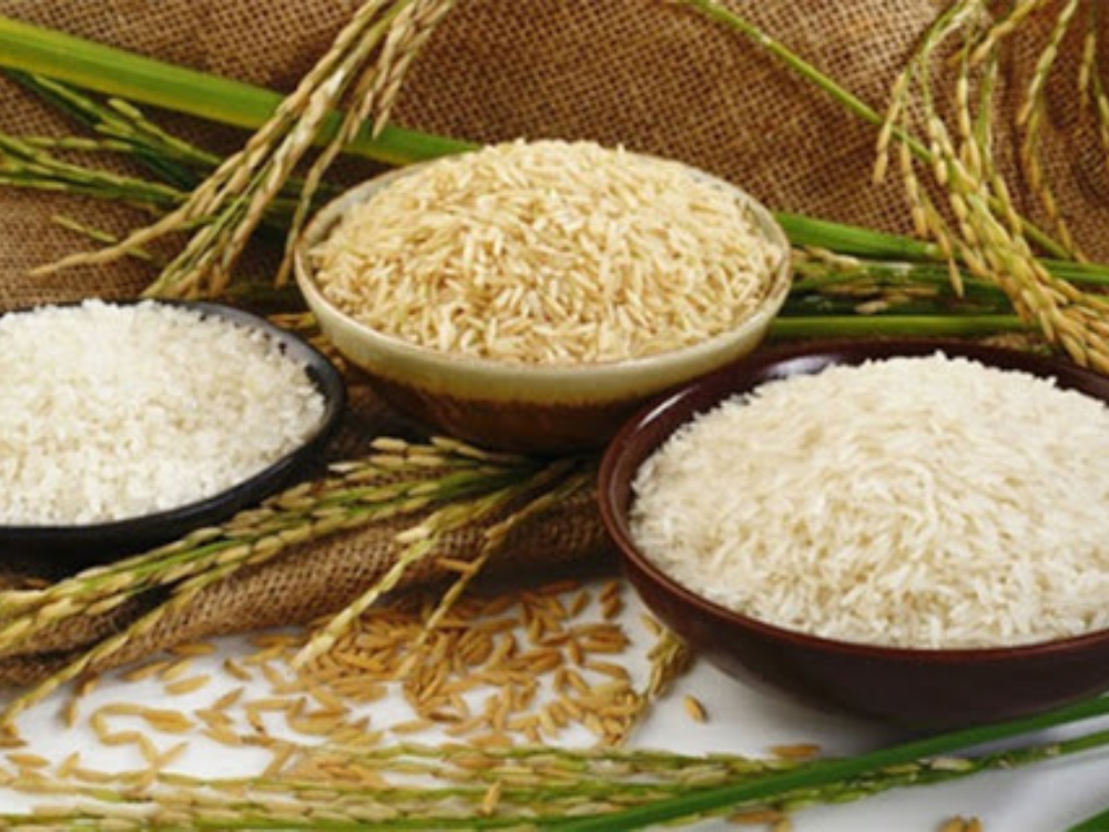 Đánh giá hạt gạo bằng cảm quang