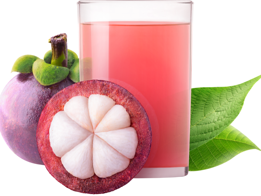 Các Món Ăn Ngon Với Măng Cụt