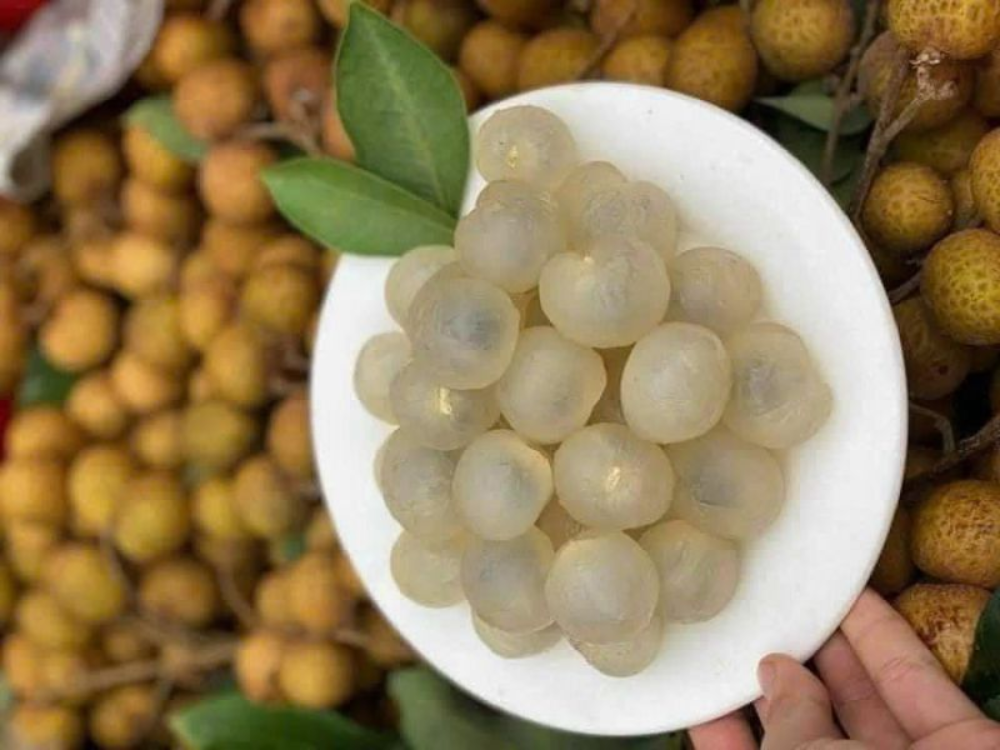 Nhãn lồng là gì? Vì sao loại nhãn này được ưa chuộng?
