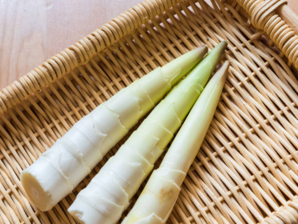 Lợi Ích Sức Khỏe Bất Ngờ Từ Măng Mang Lại