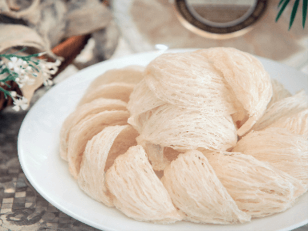 Tổ yến được thu hoặch ở những nơi hiểm trở
