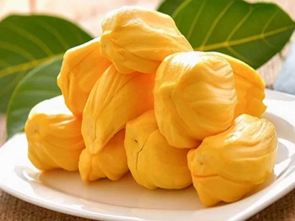 Quá trình du nhập vào Việt Nam của cây mít