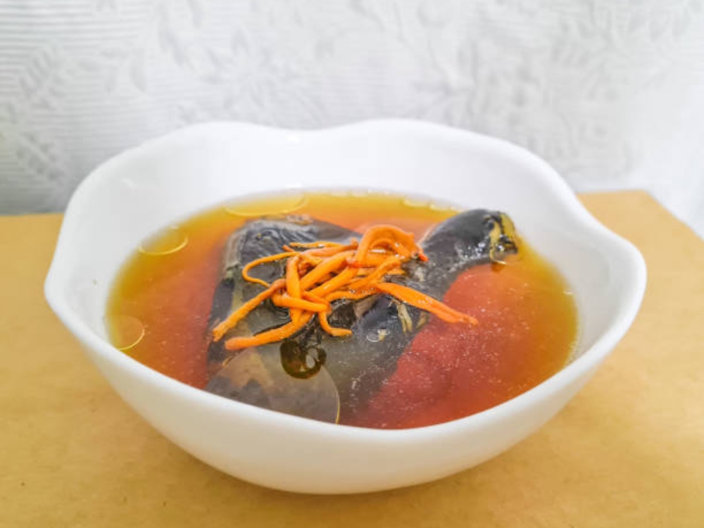 Đông trùng hạ thảo