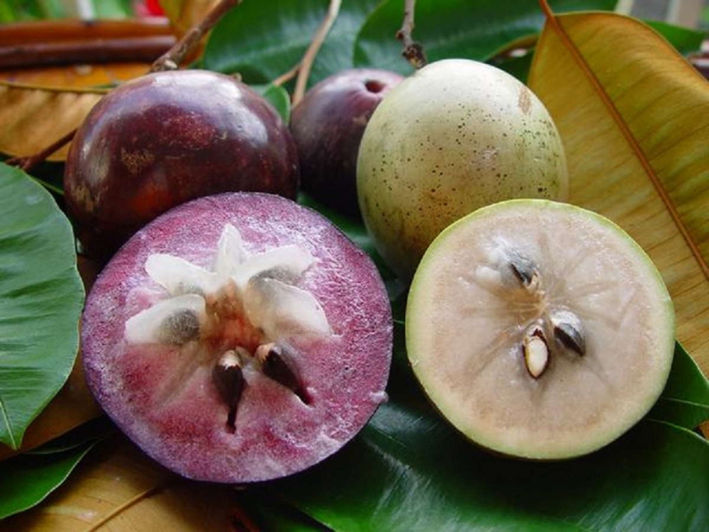Ngăn ngừa thiếu máu