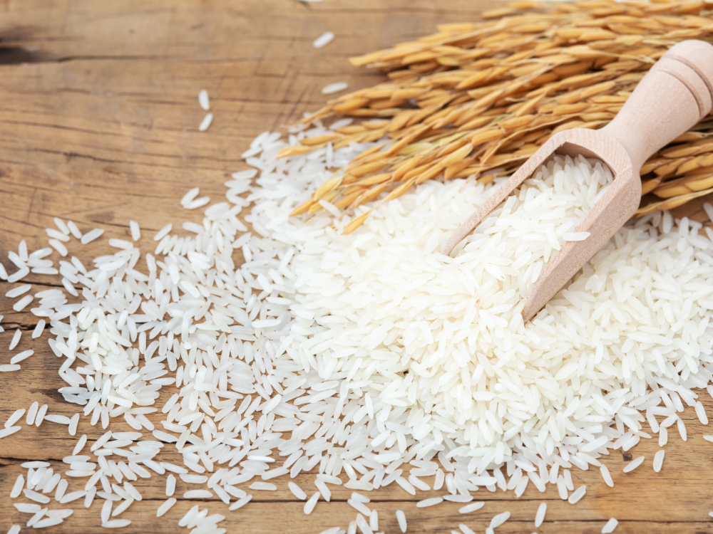 Gạo Và Vai Trò Quan Trọng Trong Chế Độ Dinh Dưỡng Hằng Ngày