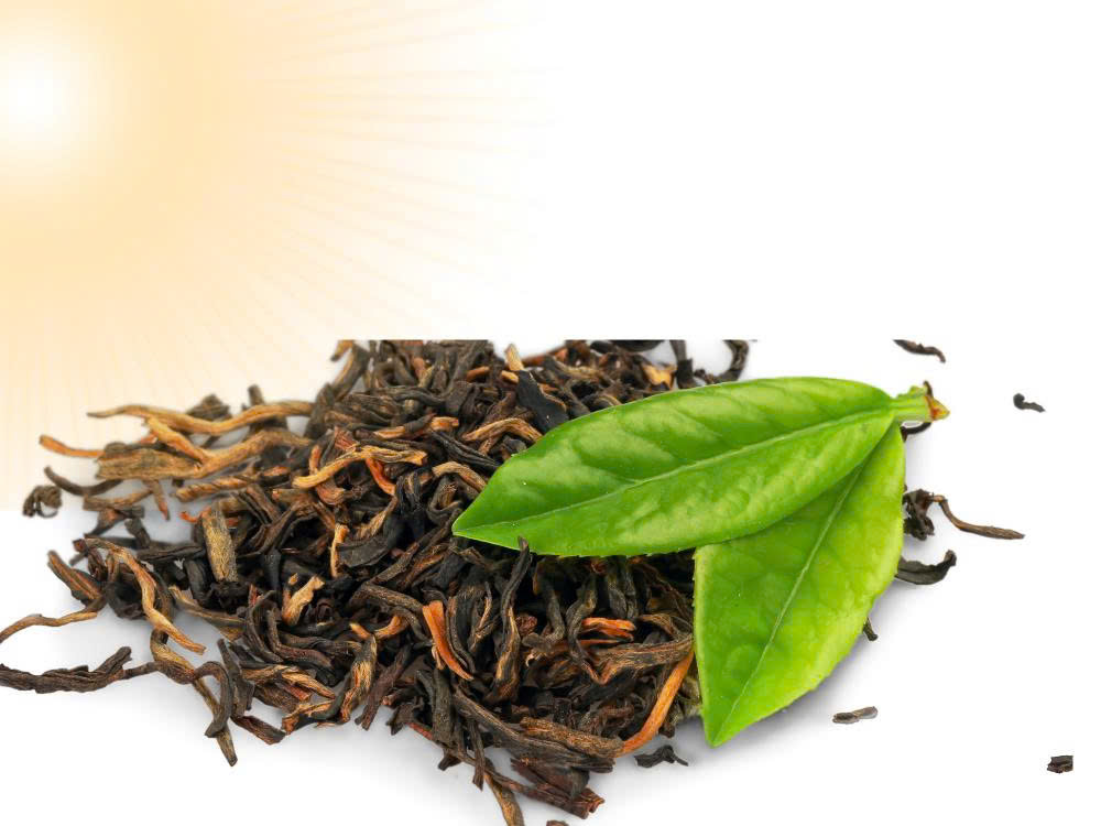 Ánh sáng ảnh hưởng đến trà