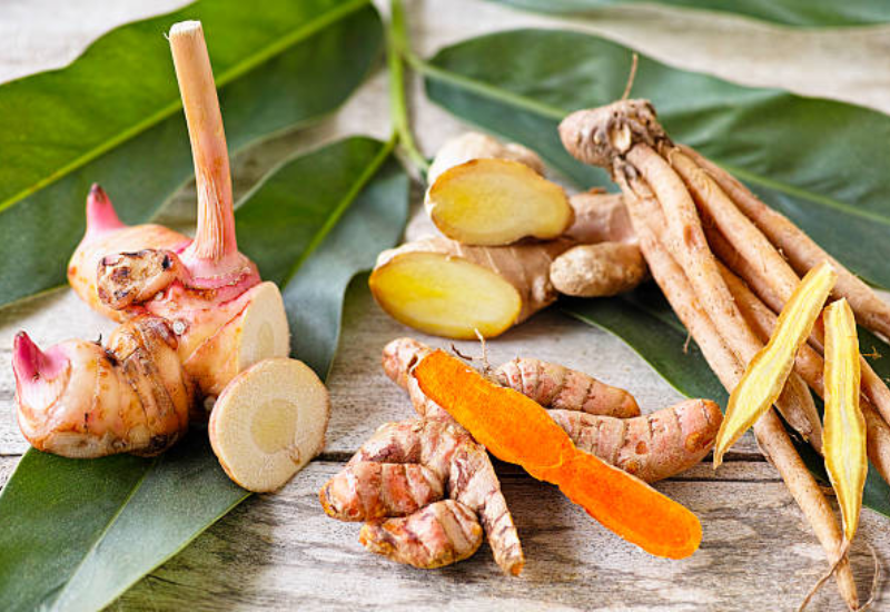 Gừng có thể điều trị nhiều dạng buồn nôn, đặc biệt là nôn nghén thai kỳ