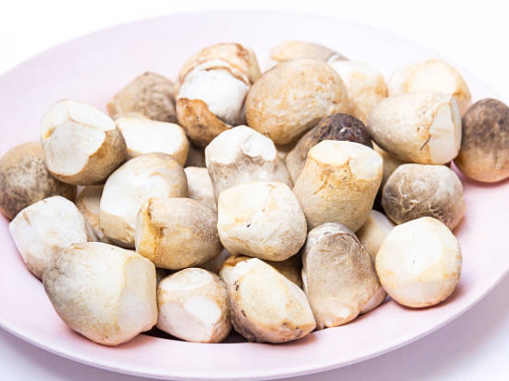 Nấm rơm