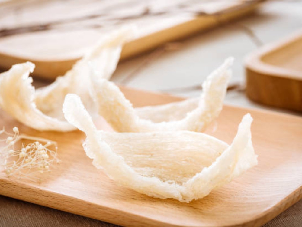 Tổ yến
