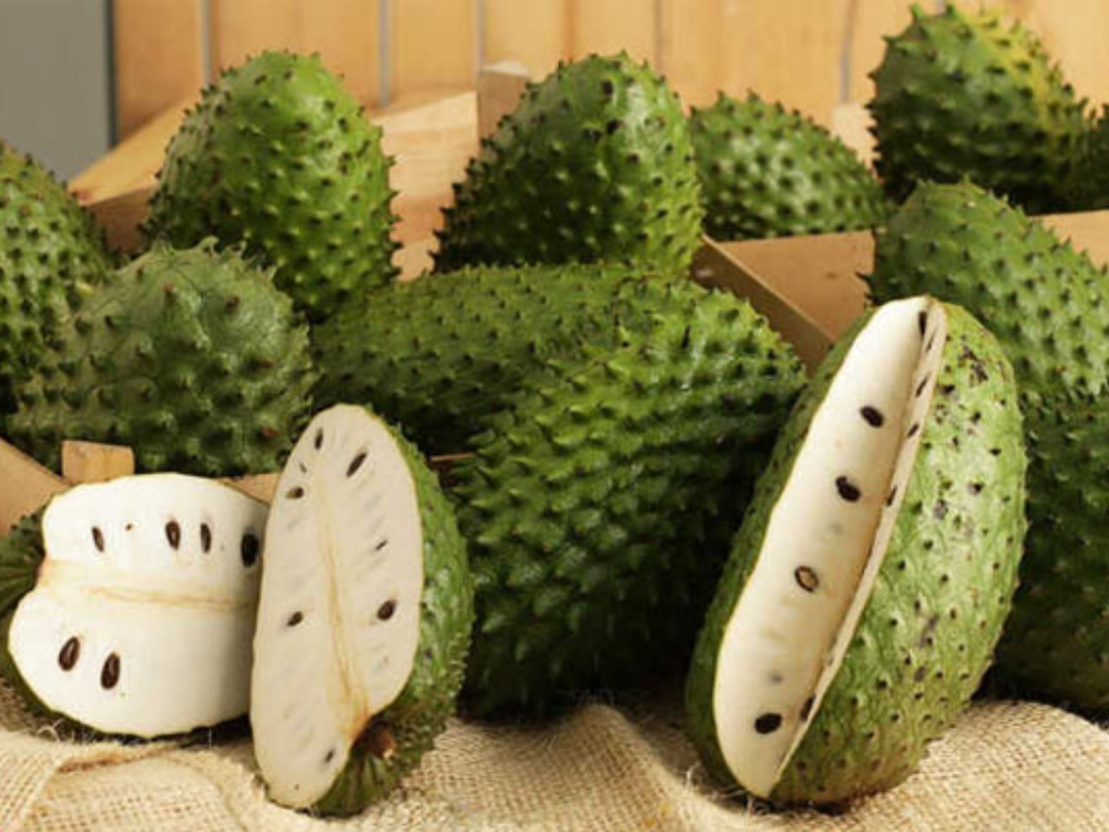 Tại Sao Nên Ăn Mãng Cầu Mỗi Ngày? Lợi Ích Sức Khỏe Mang Lại