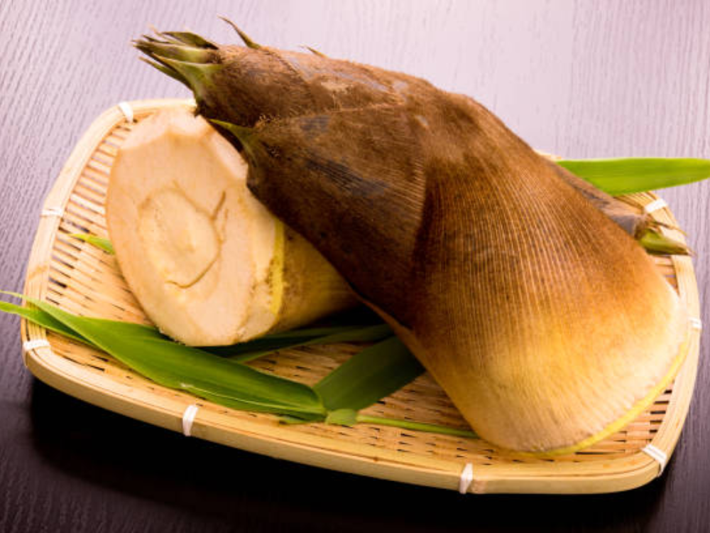 Lợi Ích Sức Khỏe Bất Ngờ Từ Măng Mang Lại