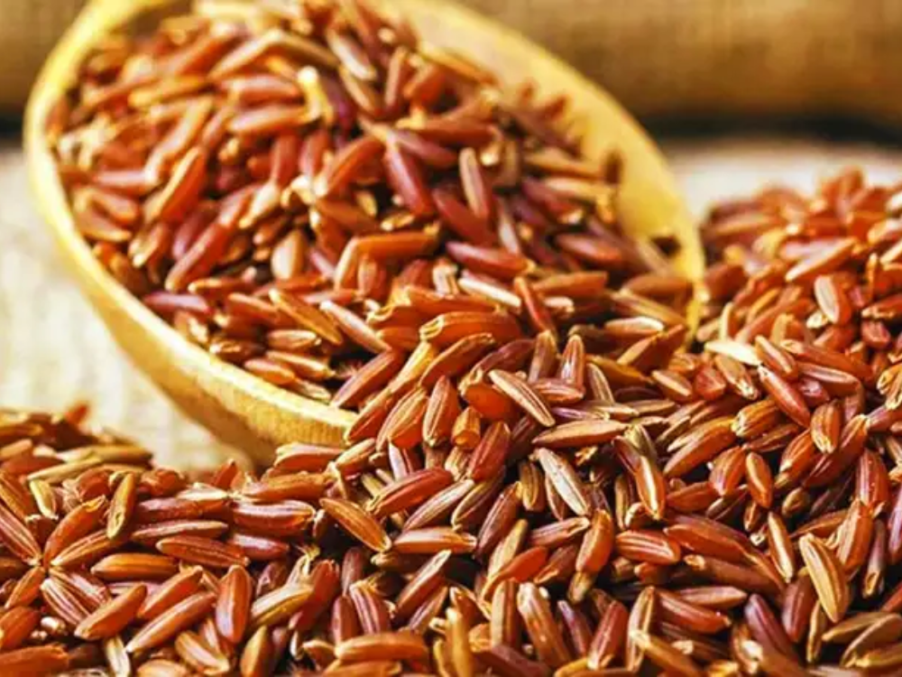 Gạo một bụi đỏ là gì 