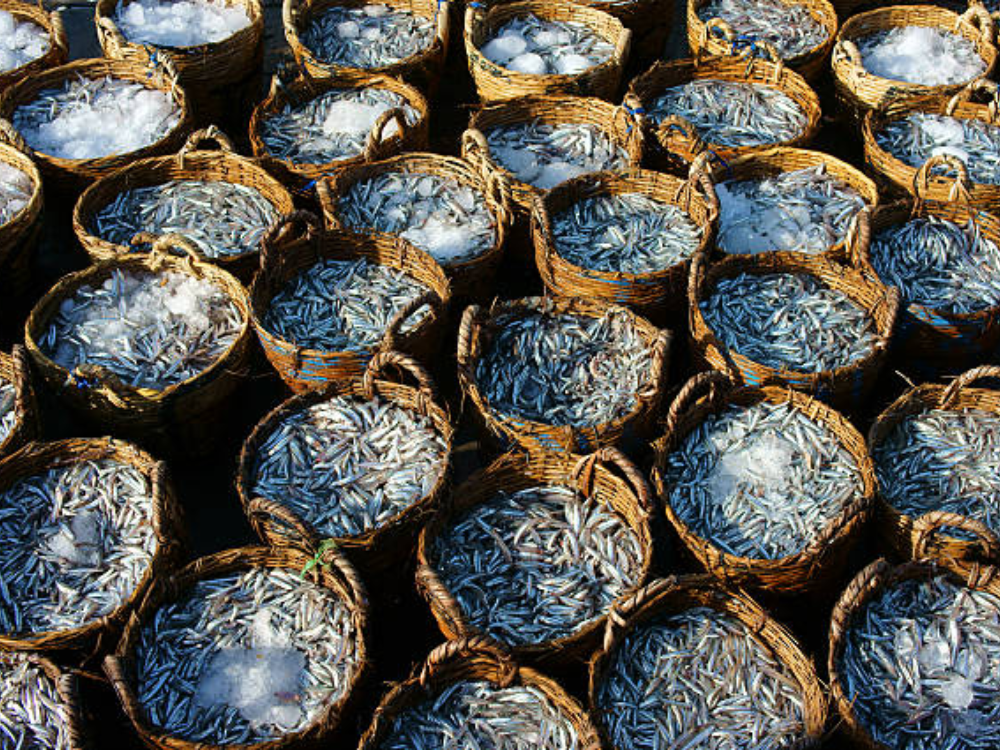 Nước đam cao có tốt không