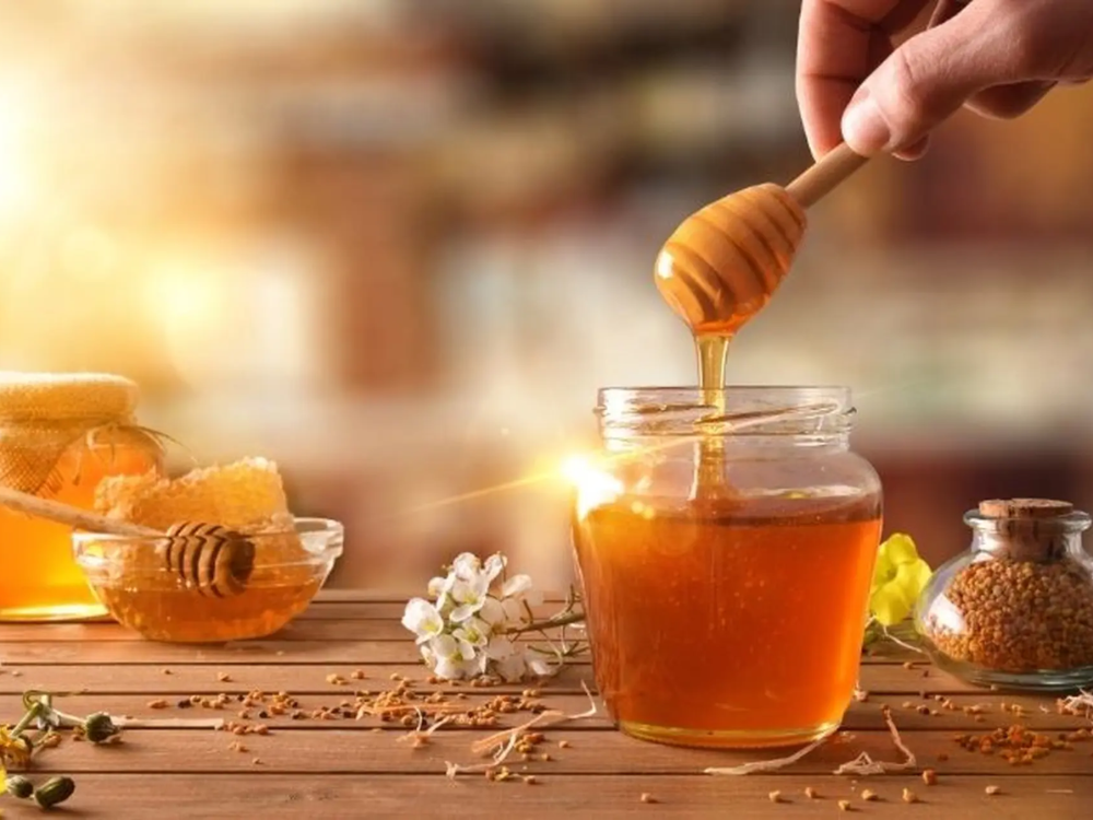 Giới thiệu mật ong rừng U Minh