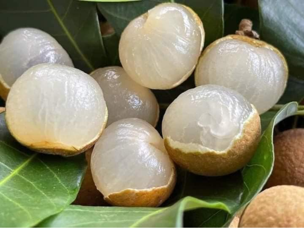 Ăn Nhãn Lồng Có Tốt Cho Sức Khỏe Không?