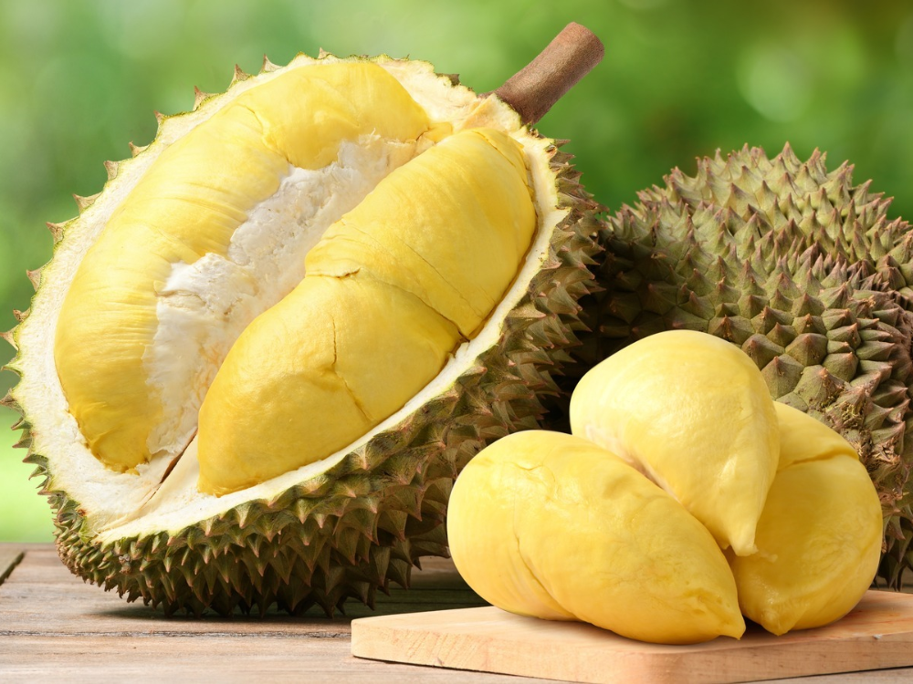 Sầu Riêng Có Nguồn Gốc Từ Đâu Và Phát Triển Như Thế Nào?