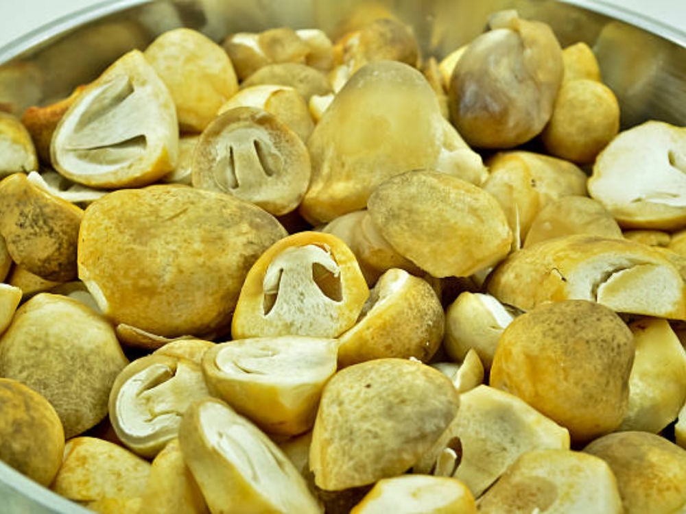 Cách chọn nấm rơm