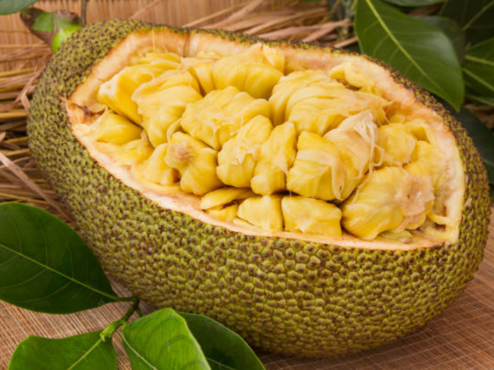 Khám Phá Lợi Ích Bất Ngờ Từ Mít Tố Nữ Mang Lại