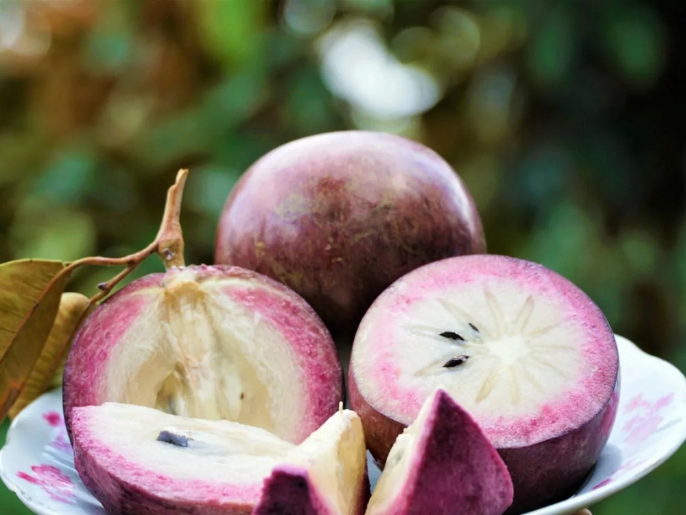 Giúp xương chắc khỏe
