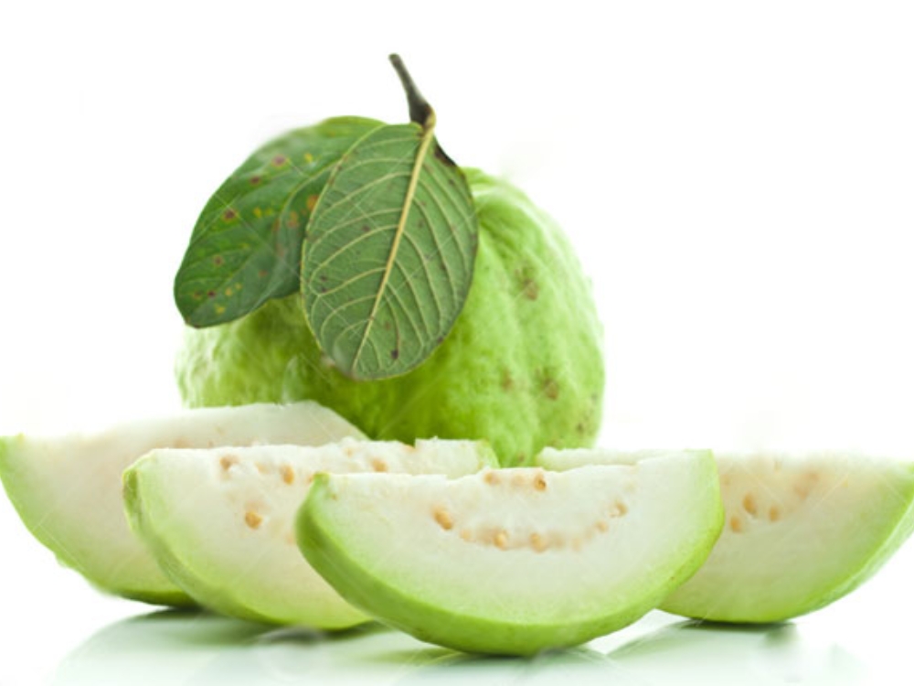 Hỗ trợ hệ tiêu hóa 