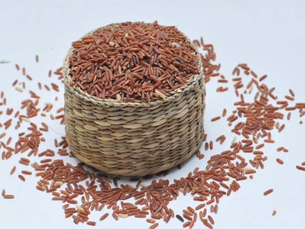 Đặc điểm của gạo một bụi đỏ
