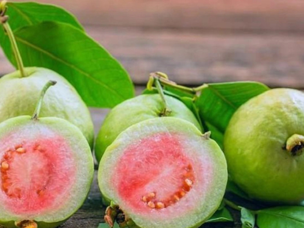 Tăng cường hệ miễn dịch