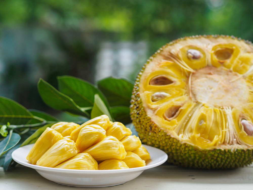 Quá trình du nhập vào Việt Nam của cây mít 