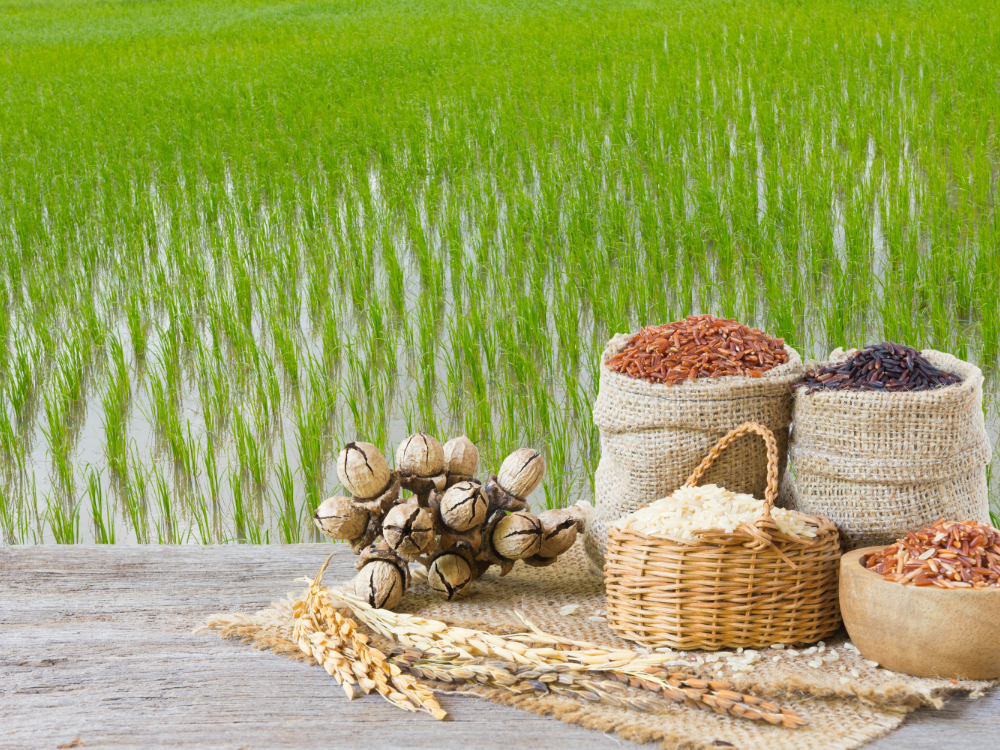 Gạo Hữu Cơ Và Xu Hướng Ăn Uống Lành Mạnh