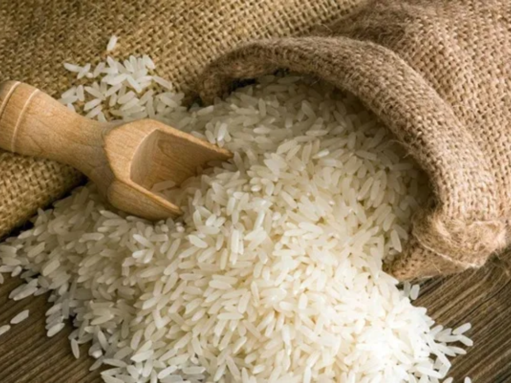 Lịch sử và nguồn gốc