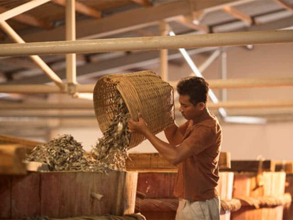 Lịch Sử Nước Mắm Truyền Thống Việt Nam