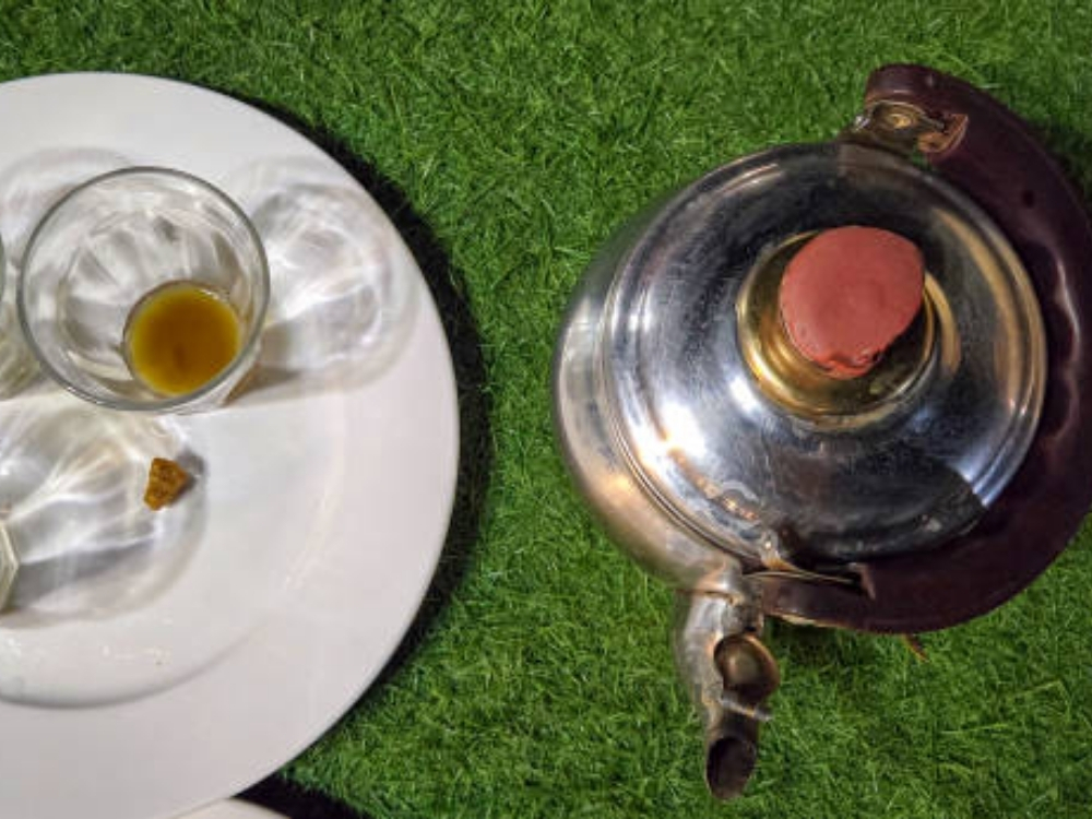 Trà cổ thụ