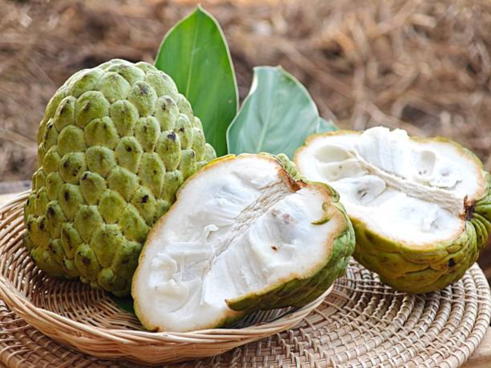 Ăn Mãng Cầu Thường Xuyên Có Tốt Không?