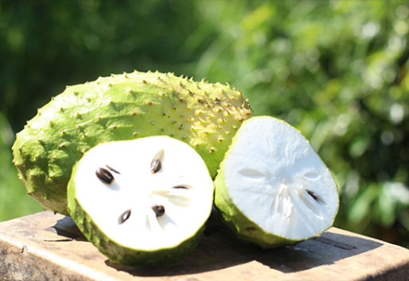 Cải thiện hệ tiêu hóa