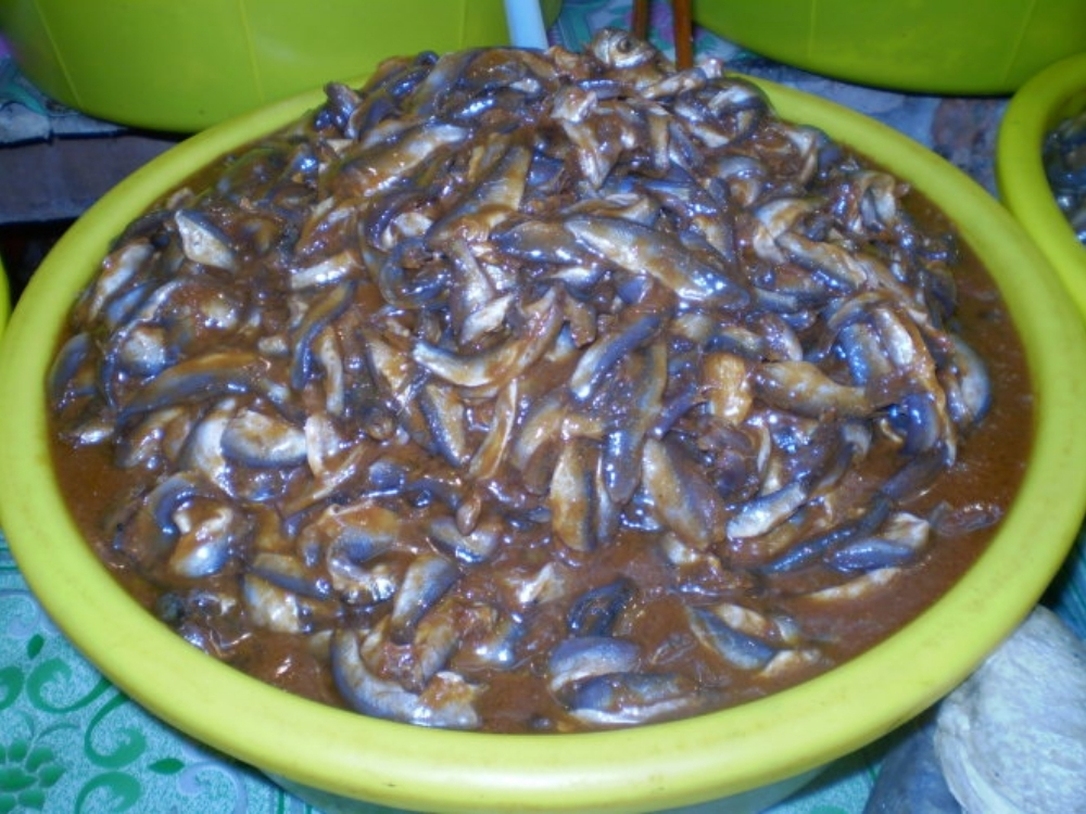 Mắm cá linh