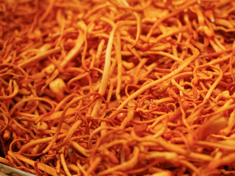 Chuẩn bị nội dung nuôi cáy