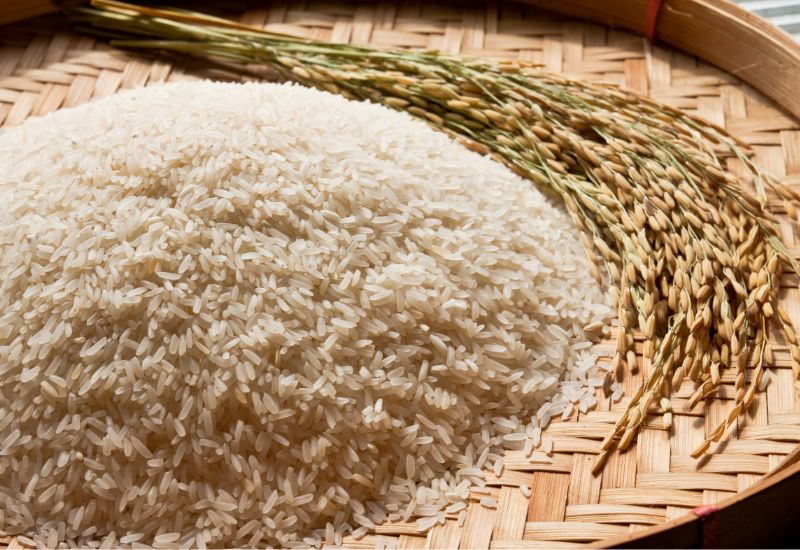Các Loại Gạo Nổi Tiếng Tại Việt Nam