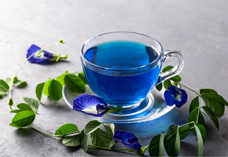 Các Hoạt Chất Chống Oxy Hóa Trong Hoa Đậu Biếc