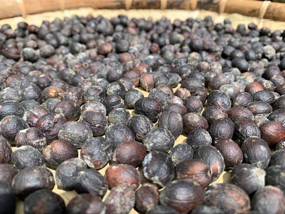 Thực phẩm sấy khô