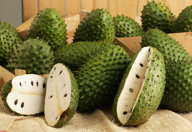 Tăng cường khả năng miễn dịch