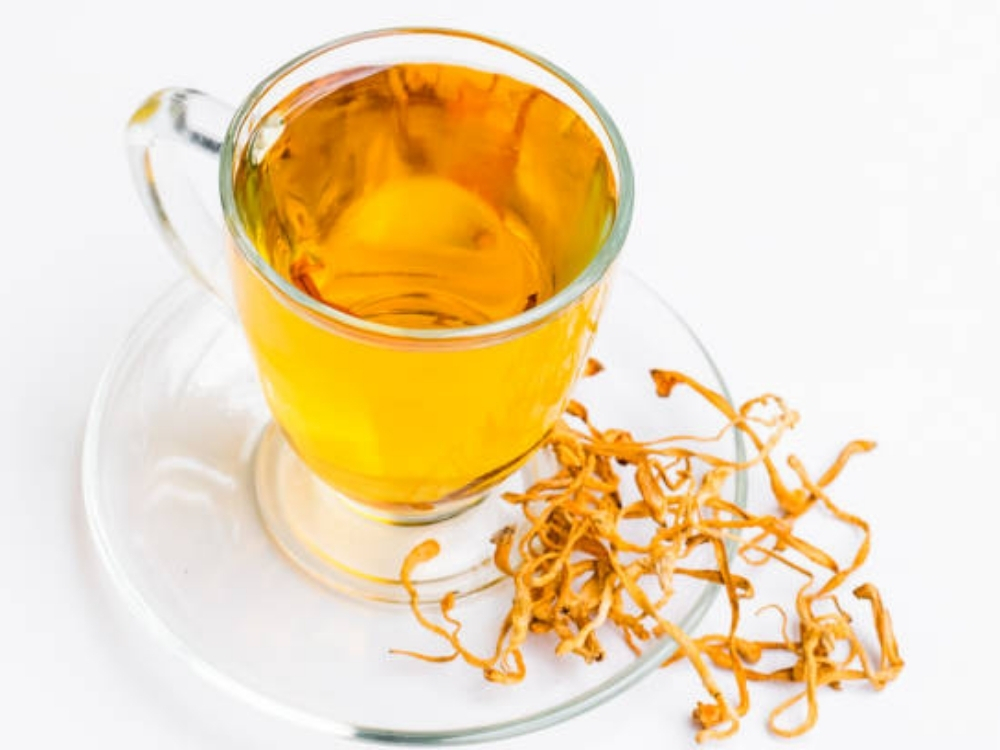 Trà đông trùng hạ thảo