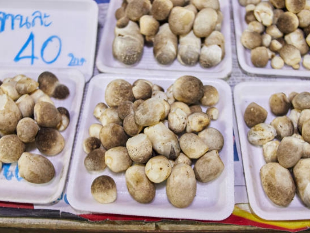 Ăn nấm nhiều có tốt không ?