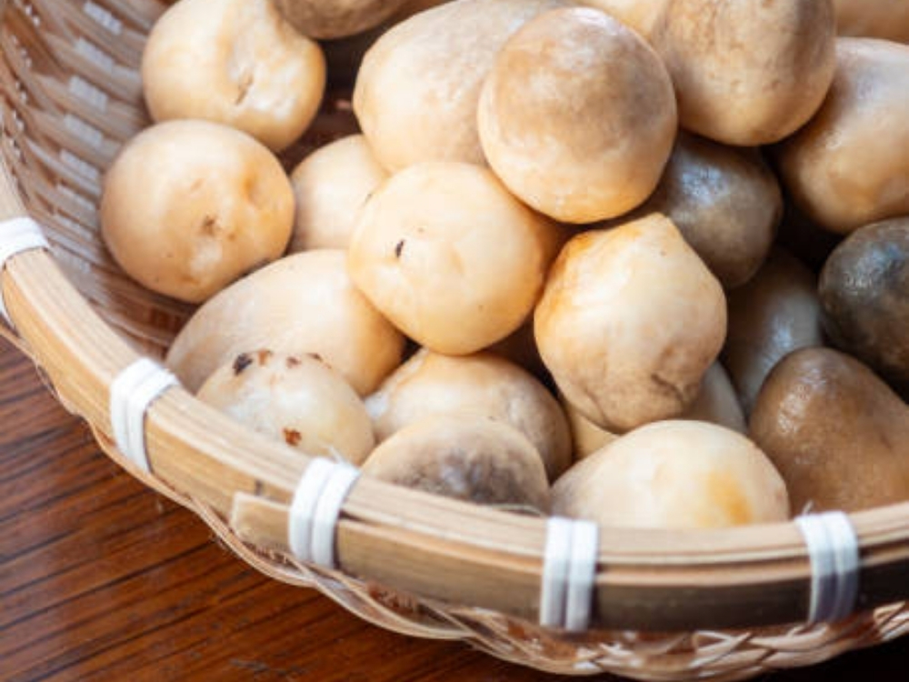 Mẹo từ nấm rơm