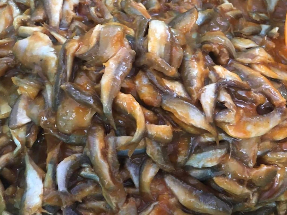 Mắm cá linh