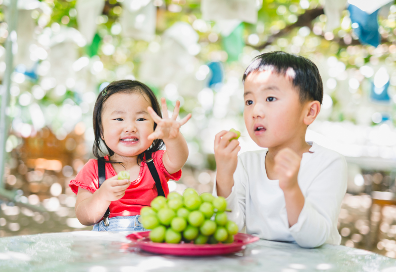 Có Nên Cho Trẻ Em Ăn Nho Hay Không