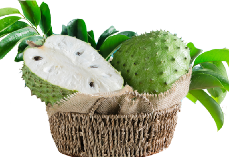 Ổn định đường huyết